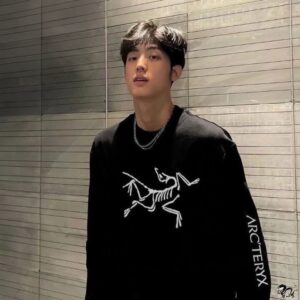 아크테릭스 빅팔 로고 맨투맨